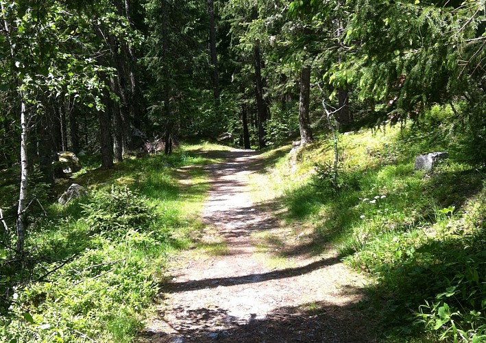 Hike along the Petit Balcon Nord: Argentière-Les Bois