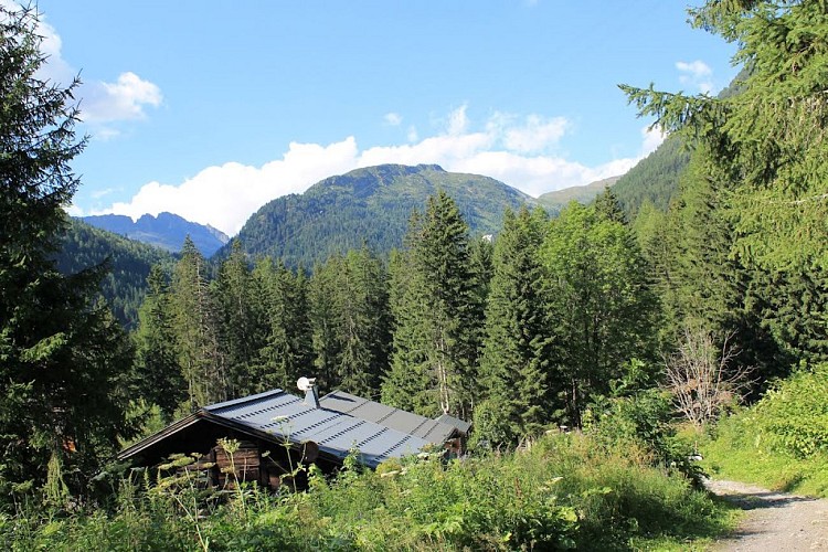 Hike along the Petit Balcon Nord: Argentière-Les Bois