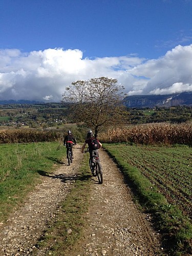 Centre VTT-FFC de l'Albanais - Circuit n°13 'En passant par la Deysse'