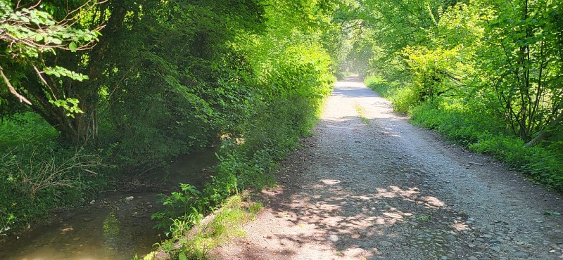 Centre VTT-FFC de l'Albanais - Circuit n°13 'En passant par la Deysse'_La Biolle
