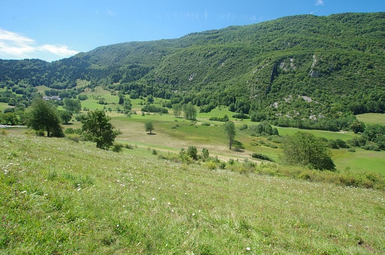 The Nécuidet marsh