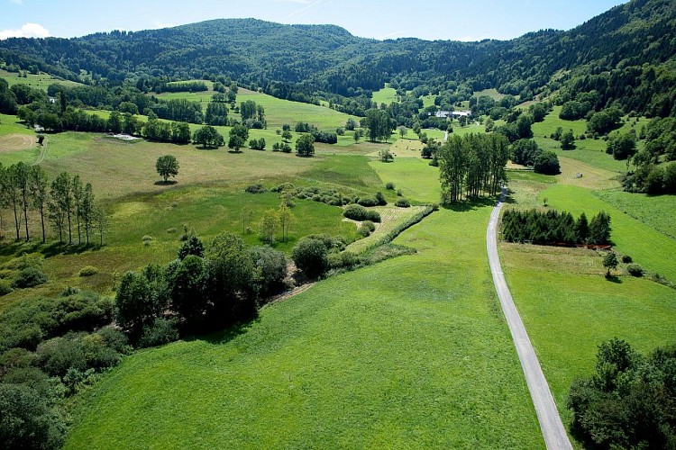 The Nécuidet marsh