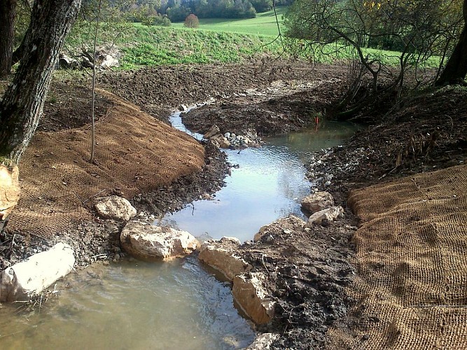 Le Marais de Nécuidet