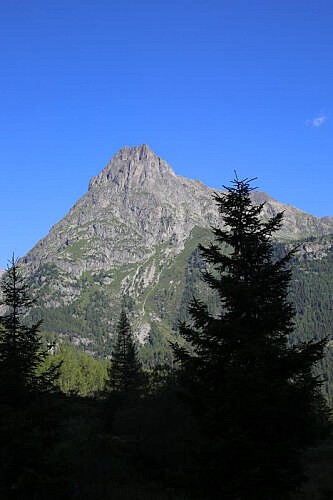 Le chemin des Diligences_Vallorcine
