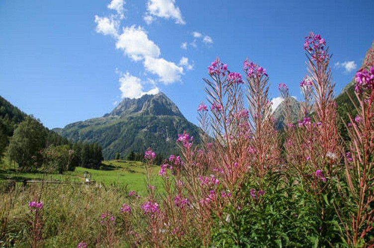 Le Chemin des Diligences_Vallorcine