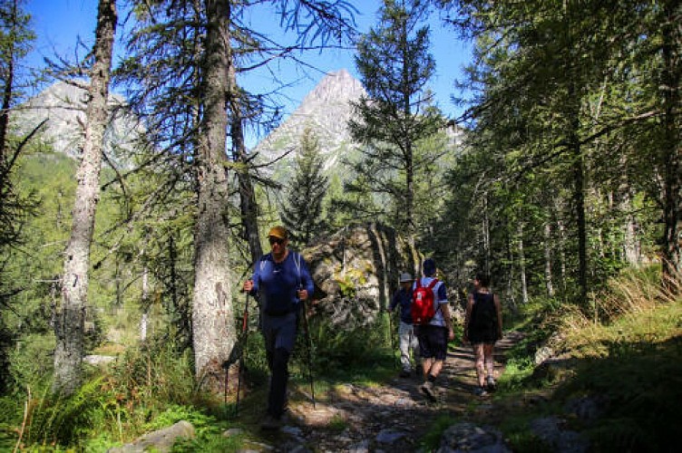 Chemin des Diligences_Vallorcine