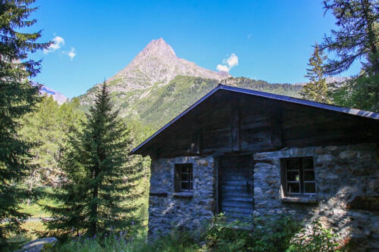 Le chemin des Diligences_Vallorcine