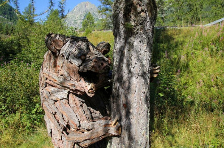 Le chemin des Diligences_Vallorcine