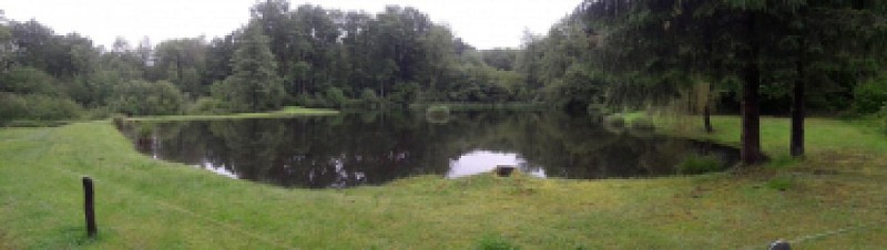 Circuit pédestre et VTT n°3 Les Grilloux