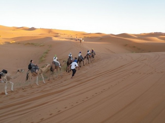 excursion au desert marocain