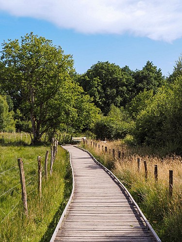 Domaine des Grands Près