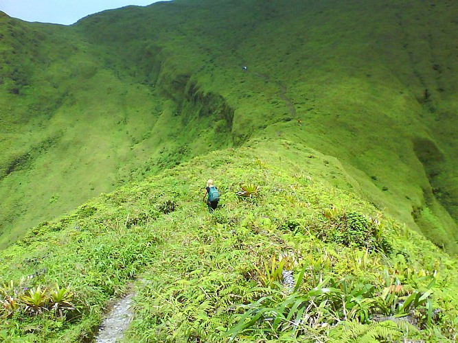 La Montagne Pelée par Grande Savane