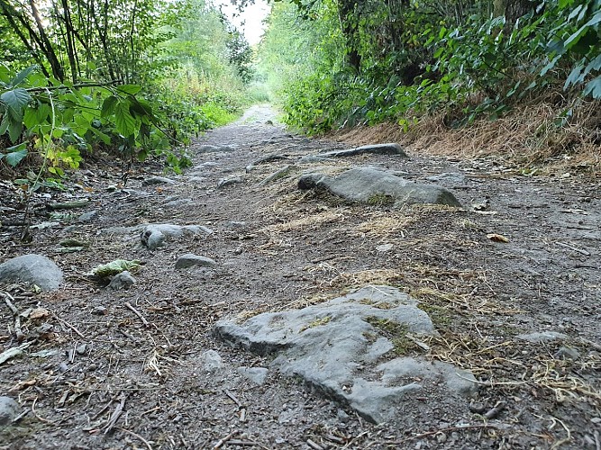 Gedinne prom8 ete 2022 AV (9)