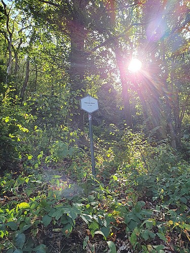 Gedinne prom8 tête de chien ete 2022 AV (29)