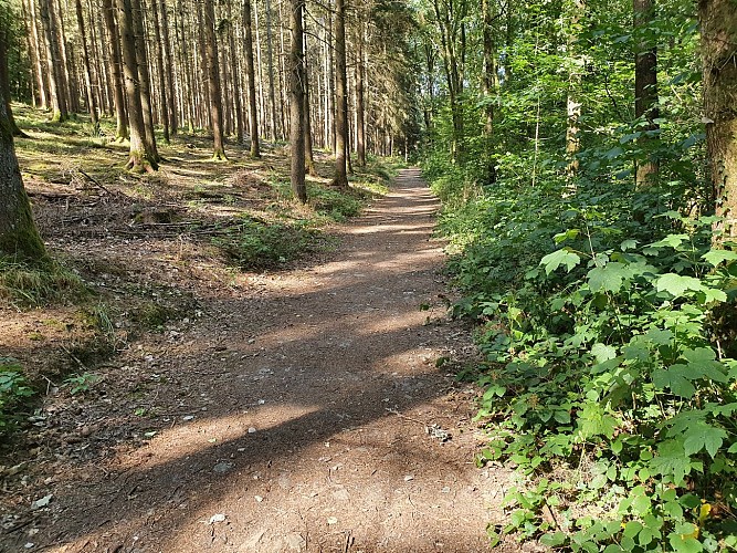 Gedinne prom8 ete 2022 AV (42)