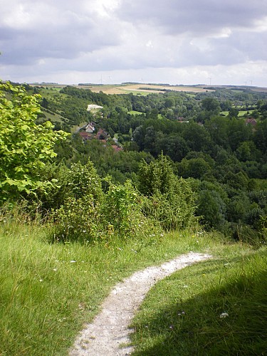 Sentier des Genévriers - Elnes/Wavrans sur l'Aa **PARCOURS SOUS VIGILANCE (CHASSE)**