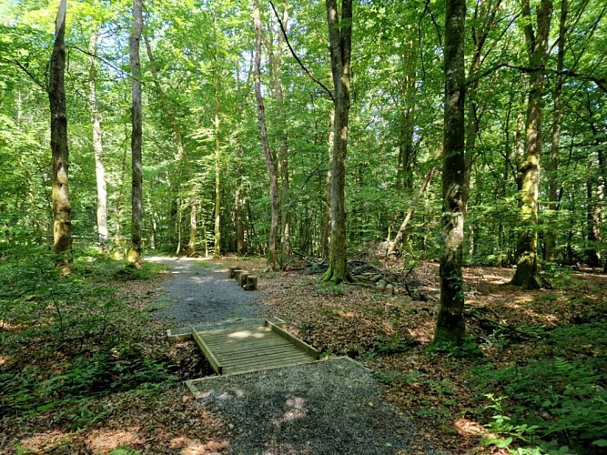 Sentier didactique du Bois de la Fontaine