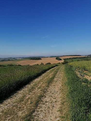 Le Nordal - Acquin-Westbécourt **PARCOURS SOUS VIGILANCE (CHASSE)**