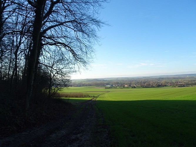 Les Fascines - Bouvelinghem - Parcours officiel - VIGILANCE CHASSE DU 21/09/2025 AU 28/02/2026