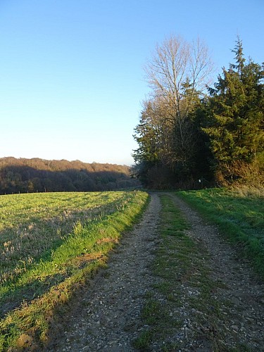 Les Fascines - Bouvelinghem - Parcours officiel - VIGILANCE CHASSE DU 21/09/2025 AU 28/02/2026