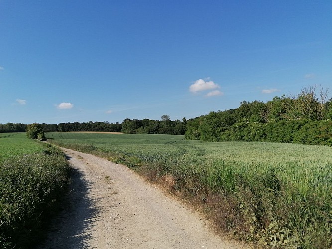 Le Mont de Géant - Wavrans sur l'Aa - Parcours officiel - PARCOURS FERMÉ