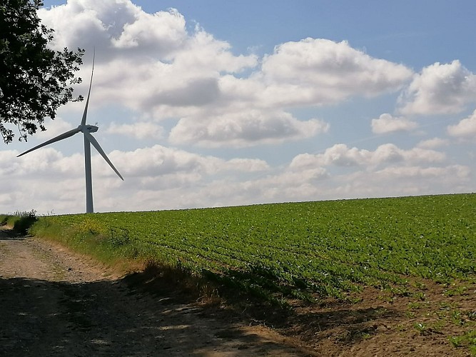 Le Mont de Géant - Wavrans sur l'Aa - Parcours officiel - PARCOURS FERMÉ