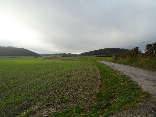Le Mont Vert - Alquines - Parcours officiel - VIGILANCE CHASSE DU 21/09/2025 AU 28/02/2026