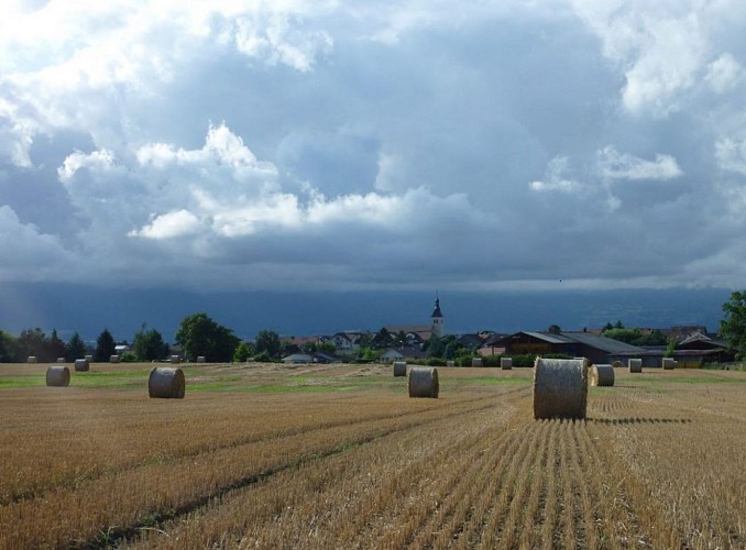 Sentier: "La Pointe"