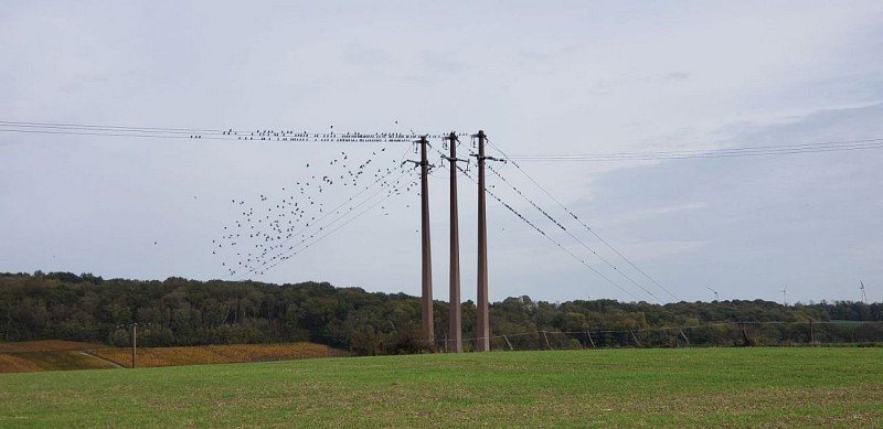 De Nanteuil-Saâcy à Château-Thierry