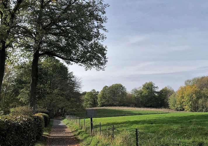 Bois de la Vecquée et Fort de Malonne - Val et Oli