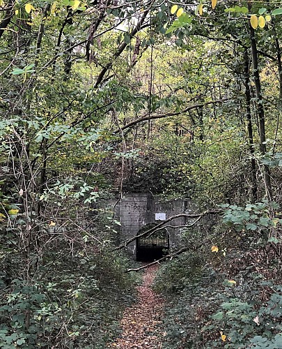 Bois de la Vecquée et Fort de Malonne - Val et Oli