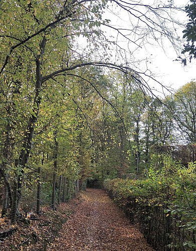 Bois de la Vecquée et Fort de Malonne - Val et Oli
