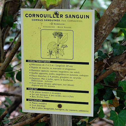 Signalétique flore sur le sentier botanique