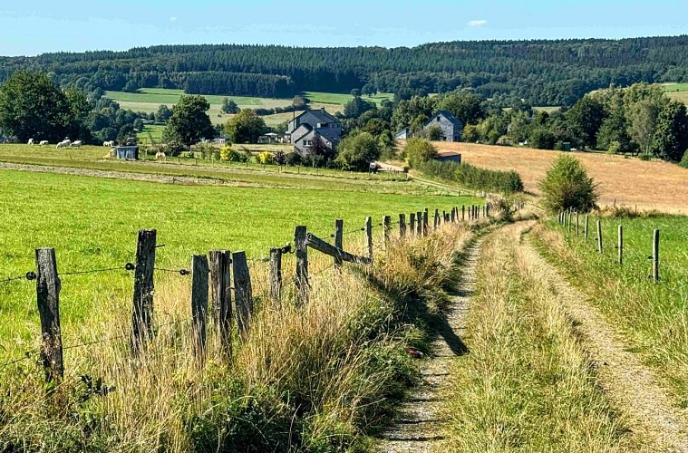 Sainthubert_vtt_les_fontaines©MTFSH-TEXTO_Pascal_Willems_(5)