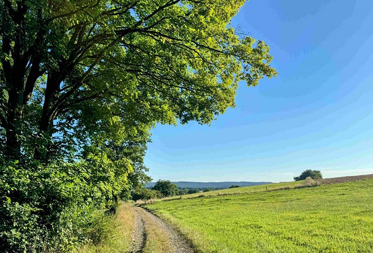 Sainthubert_vtt_les_fontaines©MTFSH-TEXTO_Pascal_Willems_(119)