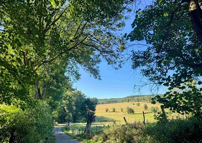 Sainthubert_vtt_les_fontaines©MTFSH-TEXTO_Pascal_Willems_(152)