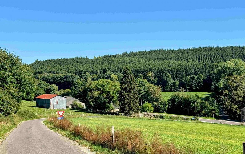 Sainthubert_vtt_les_fontaines©MTFSH-TEXTO_Pascal_Willems_(26)