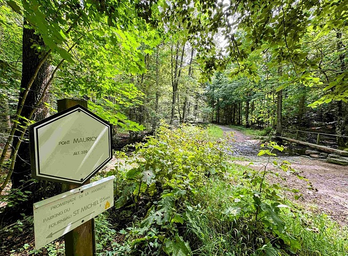 Sainthubert_promenade_de_la_bilaude©MTFSH-TEXTO Pascal Willems (65)