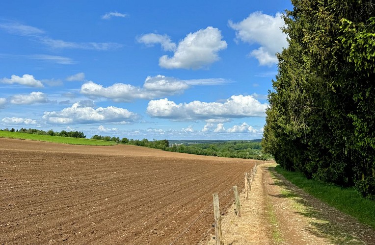 VTT_Hurtebise_©_MTFSH_TEXTO_Pascal_Willems_(180)