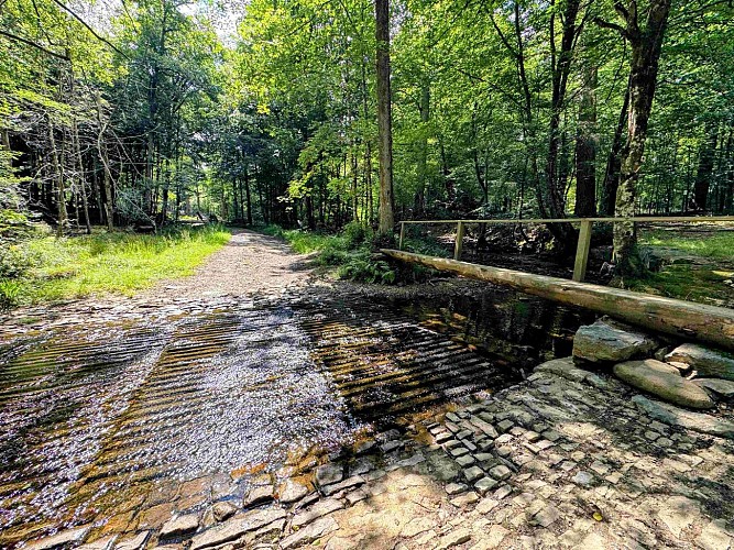 Sainthubert_la_masblette©MTFSH-TEXTO Pascal Willems (120)