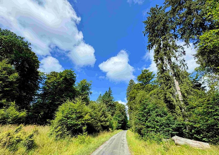 Sainthubert_la_masblette©MTFSH-TEXTO Pascal Willems (11)