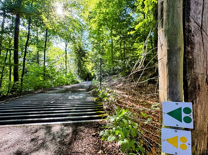 Sainthubert_la_masblette©MTFSH-TEXTO Pascal Willems (22)