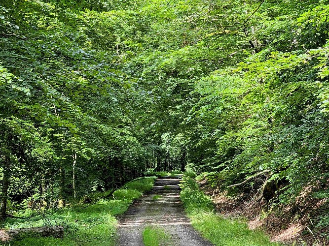 Sainthubert_la_masblette©MTFSH-TEXTO Pascal Willems (280)