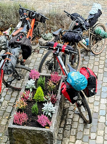 Saint Hubert 2023©MTFSH-TEXTO Pascal Willems (197)