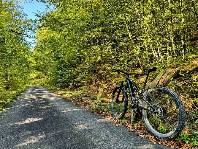 VTT_Forêt_de_Saint-Michel_©_MTFSH_TEXTO_Pascal_Willems_(143)