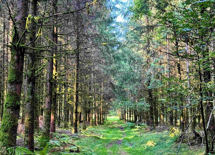 Libramont_promenade_entreremagneetfreux©MTFSH-TEXTO Pascal Willems (45)