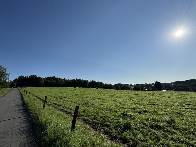 Pre-ravel-libramont©MTFSH-TEXTO_Pascal_Willems_(9)