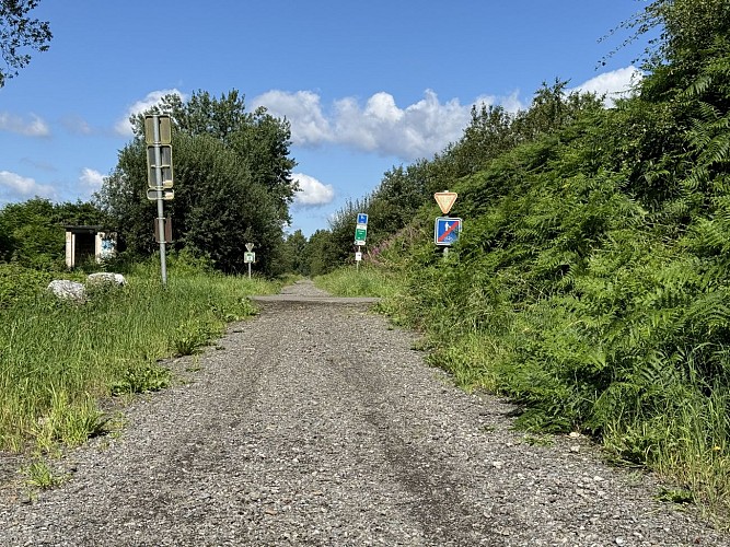 Pre-ravel-libramont©MTFSH-TEXTO_Pascal_Willems_(77)