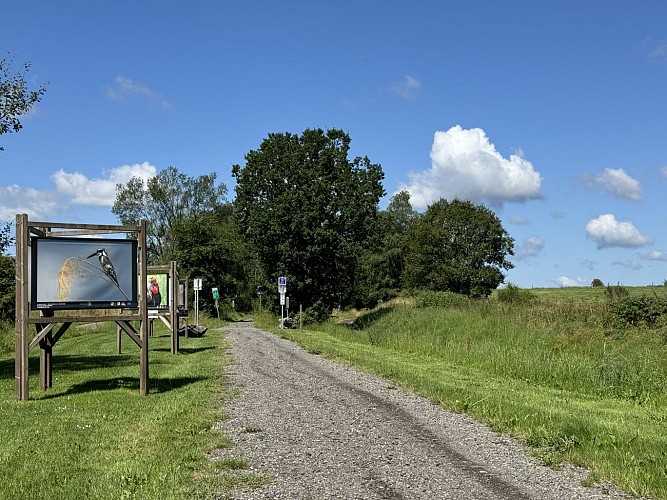 Libramont-pre-ravel©MTFSH-TEXTO_Pascal_Willems_(12)