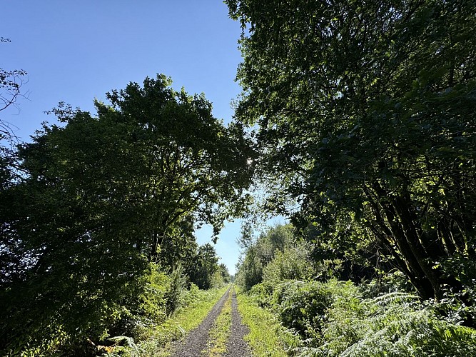 Pre-ravel-libramont©MTFSH-TEXTO_Pascal_Willems_(17)